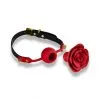 ZALO Bâillon à Trou Rose Ball Gag 1 ZALO Bâillon à Trou Rose Ball Gag -Fetish bdsm boutique baillon a trou rose ball gag 01