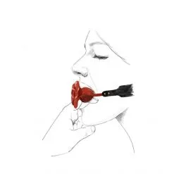ZALO Bâillon à Trou Rose Ball Gag -Fetish bdsm boutique baillon a trou rose ball gag 03