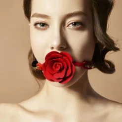 ZALO Bâillon à Trou Rose Ball Gag -Fetish bdsm boutique baillon a trou rose ball gag 04