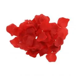 ToyJoy Coffret Coquin Red Romance -Fetish bdsm boutique coffret coquin red romance 07