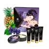 Shunga Kit Secret De Geisha Fruits Exotiques -Fetish bdsm boutique coffret secret de geisha fruits exotiques shunga 01