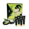 Shunga Kit Secret De Geisha Thé Vert Exotique -Fetish bdsm boutique coffret secret de geisha the vert shunga
