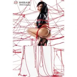 Demoniq Ensemble Festichiste Vinyle KAYO -Fetish bdsm boutique ensemble festichiste vinyle demoniq kayo 6