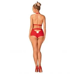 Obsessive Costume Ms Reindy -Fetish bdsm boutique ms reindy costume 4